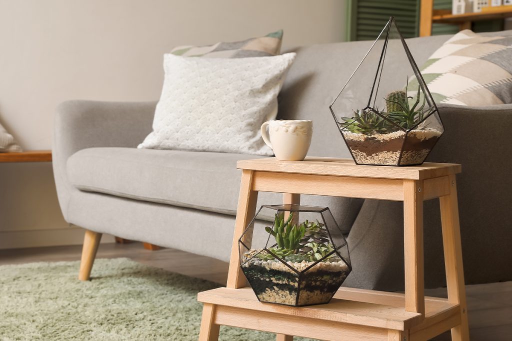 Rugmaker_Blog-Piece-SideImages_Florariums with cup of coffee on stepladder in living room