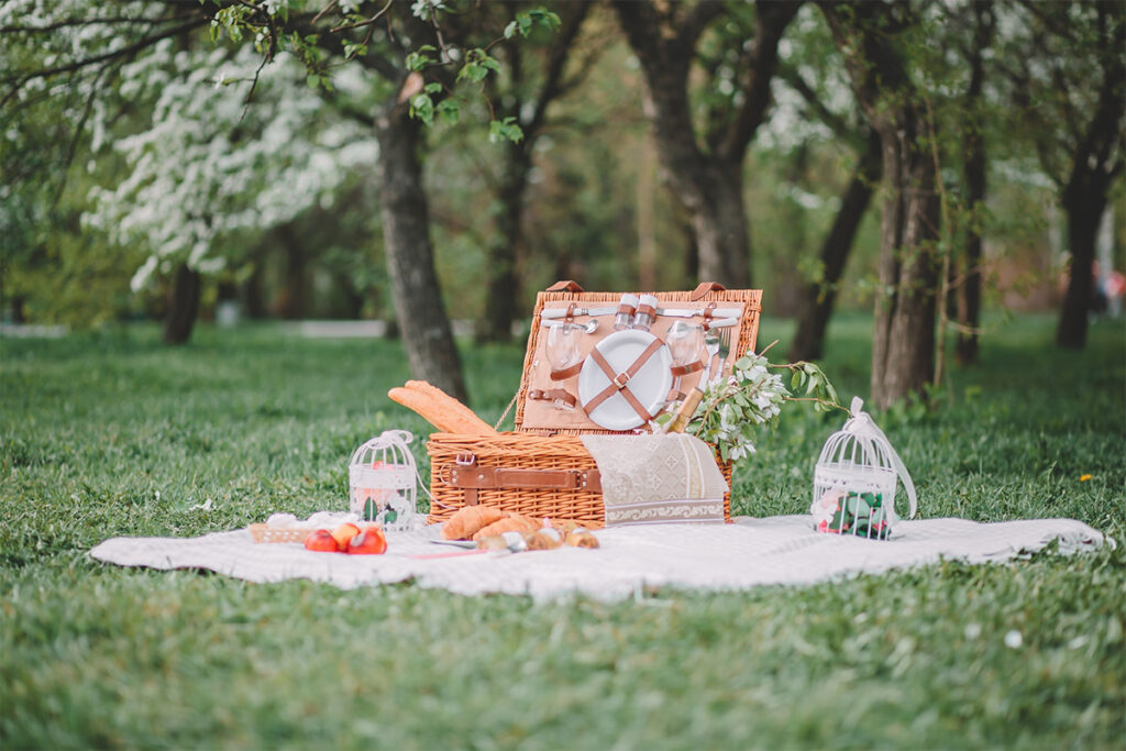 Rugmaker_Blog-Piece_a cozy picnic in nature, in the park, a summer picnic in the countryside