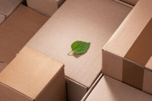 Rugmaker_Blog-Piece_Fresh green leaf laying between cardboard boxes