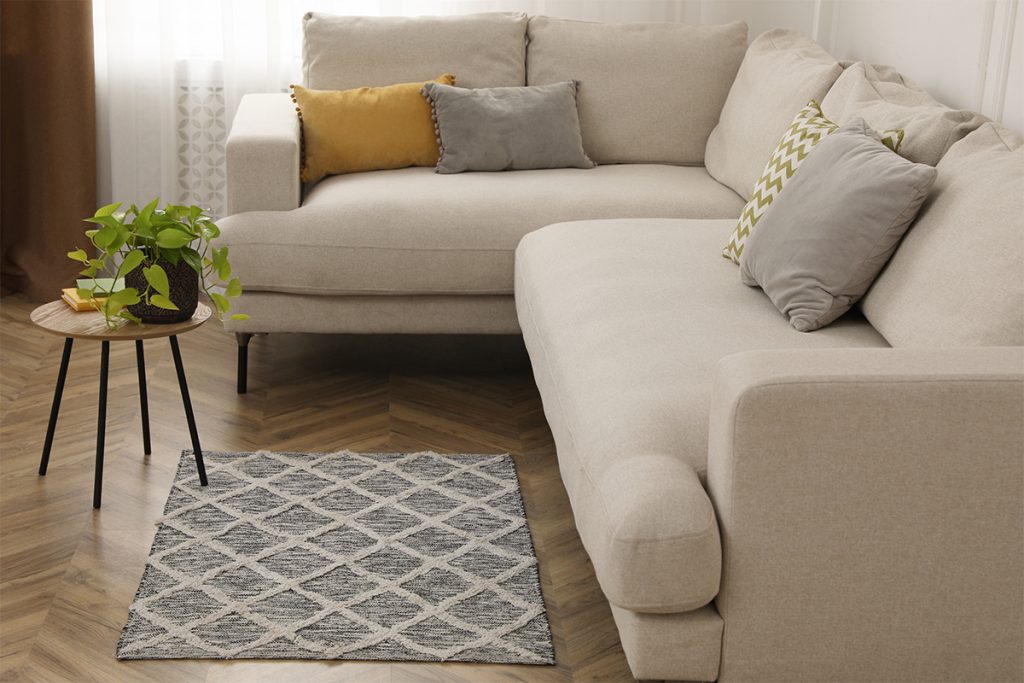 Rugmaker_Blog-Piece_Modern living room interior with comfortable sofa and rug